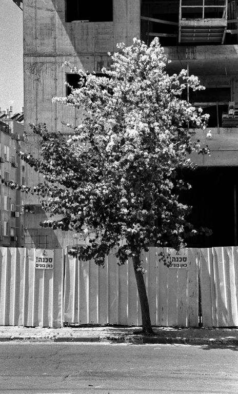 Silver halide - Canon eos300 EF 28-105mm, FomaPan 200  @ ISO160 DEV:R09 1:100