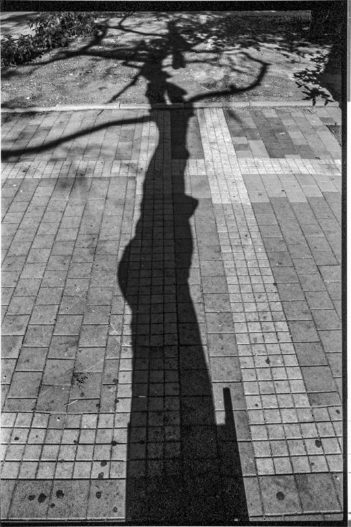 Silver halide - Canon eos300 EF 28-105mm, Rollei  Retro 400s  @ ISO 320 DEV:R09 1:50