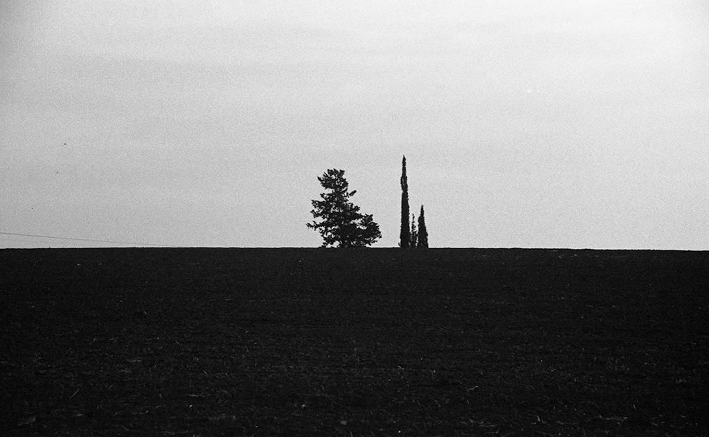 Silver halide -Canon eos300, Vivitar Series 1 19-35mm , FomaPan 200  @ ISO100 DEV:R09 