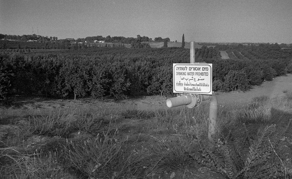 Silver halide -Canon eos300, Vivitar Series 1 19-35mm , Vivitar 283 , FomaPan 200  @ ISO100 DEV:R09 