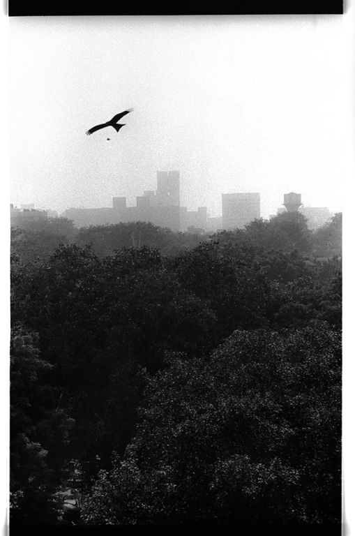 Silver halide - Canon eos300 EF 28-105mm, FomaPan 200  @ ISO160 DEV:R09 1:100