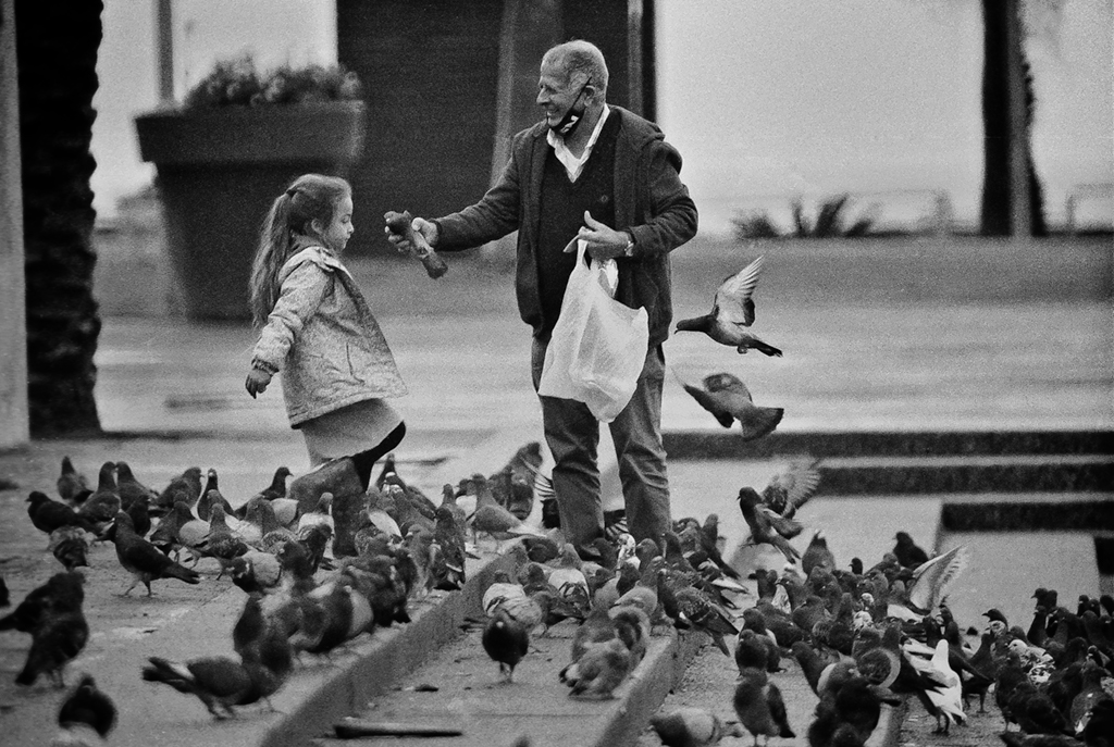 Silver halide - Canon eos300 , Samyang 500 mm  f/6.3, Ilford HP5  @ ISO320 DEV:Rodinal 1:50